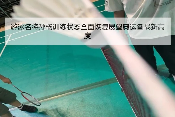 游泳名将孙杨训练状态全面恢复展望奥运备战新高度